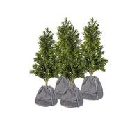 : 4 housses d'hivernage pour pot de fleur - 50 x 45 cm et 70 x 65 cm - Anthracite
