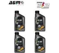 4 Litres Huile Moteur SELENIA WR PURE ENERGY 5W30 ACEA C2 70205EF8EU