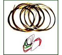 4 Mizrab Plectrons + Jeu de Cordes Complet pour Sitar Indien. 7+11 Cordes