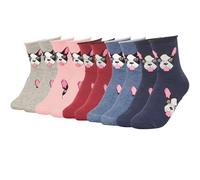 4 ou 6 paires de chaussettes courtes pour femme en coton sans manchette, respirantes et confortables, 6 chiens, 35-40