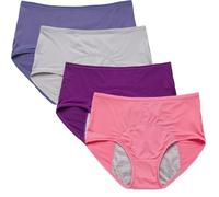4 Pack Leak Proof Underwear for Women, Breathable Women's Incontinence Underwear for Lunation & Light Bladder Leakage (BluePurpleGrayPink,5x_l)