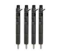 4 PCS Nouveau compatible for Delphi EJBR02901D CRDI Diesel Fuel Injecteur compatible for Hyundai Terracan/Kia Carnival Sedona 2.9 33800-4x800
