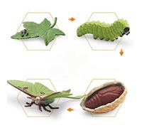 4 Piece Insect Chart, Insect Life Cycle Growth Model Realistic Animal Chart, Biological Science Model, Insect Education Growth Stage Model Plastic Insects