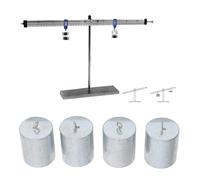 4 Pièces 200g Ensemble de Poids de Laboratoire et D'étalonnage en Acier Chromé Haute Précision avec Crochet pour Sciences Expérimentales