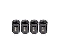 4 Pieces Aluminium Bouchon Valve Pneu Voiture,pour BYD Han Ev Tang Qin Plus Song Pro Max Yuan Dolphin E2 avec Joint Caoutchouc étanche air poussière résistant Corrosion,Black