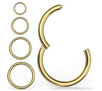 4 Pièces Anneaux de Nez Boucles D'oreilles, Kucheed Acier Chirurgical 316L Articulé Cliqueur Segment Septum Anneau Hélice Cartilage Nez Lèvres Anneaux Piercing Bijoux,Boucles D'oreilles 18G-16G Tour