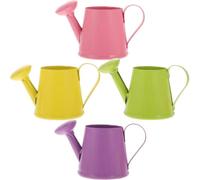 4 Pièces Arrosoir Miniature en Fer, Petit Modèle Compact | Design Élégant à Texture Fine, Léger et Portable, pour Fleurs et Apprentissage des Garçon et Filles