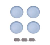 4 Pièces Assiette Plastique Rigide Reutilisable,Assiettes Pour Fruits Gâteaux Salades Desserts Pâtes,Incassable,Ronde,Grande Capacité,Passe au Microondes et au Lavevaisselle (Bleu clair, 20cm)