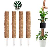 4 Pièces Bâton de Mousse, Bâton de Mousse de Noix de Coco en Bâton de Plante de 30 cm, Aide à l'escalade Monstera, pour l'escalade des Plantes, Jardin à la Maison