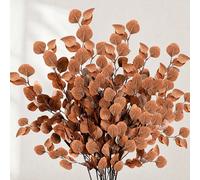 4 pièces Branches d'eucalyptus artificielles d'automne, longues feuilles de dollar argenté, tiges d'eucalyptus fausses, feuillage d'eucalyptus en soie, convient pour la décoration intérieure de la mai