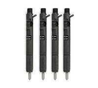 (4 pièces) Compatible pour Delphi EJBR02901D CRDI Injecteur de carburant diesel Compatible pour Hyundai Terracan et KIA Carnival Sedona 2.9 33800-4X800