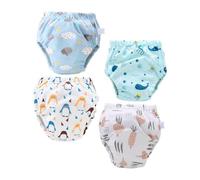 4 Pièces Culottes Apprentissage pour Garçon Fille Lot de Couches Coton Doux Respirantes Absorbantes Sécurisées pour Nourrissons Motifs Variés Sous Carotte