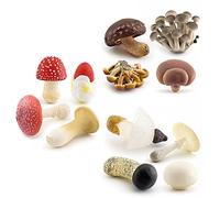 4 Pièces Cycle de Vie Champignon Montessori Modèle de Cycle de Croissance des Plantes Simulation Modèle de Croissance des Champignon Éducation Précoce Statue Jouet Enfant Cadeau de Noël