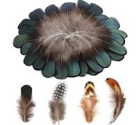 4 Styles Artisanat Plumes,200 Pièces Plumes De Poulet Pour Boucle Oreille Bricolage Ailes Attrapeur De Rêves Accueil Mariage Décoration Vert Noir Jaune Marron Décor Plume