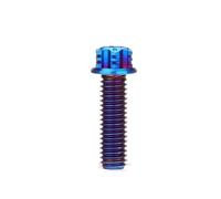 4 vis Torx à bride plaquées titane, en acier inoxydable, tailles M6, M8, 15 mm, 20, 25, 30, 35 et 40(Burn blue,M8X20 4PCS)