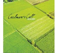 40 Acres by Caedmon's Call