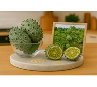 40 Graine de Kiwano - Concombre Cornu d'afrique - Fruit Légume Exotique - Jardin - 396