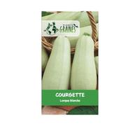 40 graines courgette BLANCHE- COURGETTE LONGUE BLANCHE LONGO BIANCO -