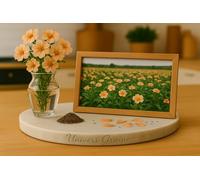 40 Graines de Verveine hybride naine compacte ABRICOT - Verbena hybrida nana compacta - Dwarf Verbena Apricot - Fleur Jardin - 424