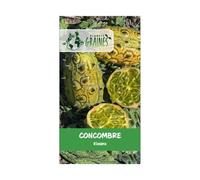 40 Graines kiwano - plante exotique - concombre cornu