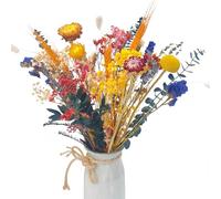 40 Pcs Fleurs Séchées Colorées,36-43 cm Bouquet Mélange Fleurs Séchées,Herbe de La Pampa，DIY Bouquet de Fleur,Décoration Salon,Floral Fabrication Artisanale,Décoration Table Bohème