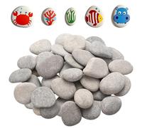 40 Pcs Galets a Peindre, 3 à 5 cm Cailloux Decoratif Galet pour Peindre, Galets Plats, Pierres Décoratives Naturelles Lisses pour DIY Loisirs Créatifs, Peinture, Décoration