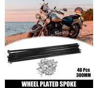 40 pcs Vélo Acier Rayons 14G Vélo Rayon 300mm Longueur avec Mamelons