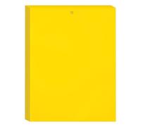 40 Pièces Insectes Jaune Mouche Double Face 15x20cm, Papier Tue Mouches Interieur, Yellow Protection du Jardin Contre Les Insectes, Pieges a Mouches, Autocollants en Papier Mouche