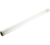 Sylvania Tube fluorescent G13 Actinique BL368 Blacklight 40 W 368 nm 590 mm UVA