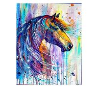 (40 x 50 cm) Square Diamond Painting Full Drill DIY 5D Carré Diamant Peinture Art Kits Cheval Point de Croix Broderie Strass Plein Perceuse Peinture Carré avec Diamant Toile Carré Mosaïque Cadeau