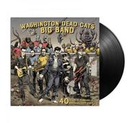 40 Years of Punkabilly Madness 1984-2024