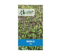 400 graines de Basilic thai - herbe aromatique
