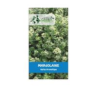 400 graines de marjolaine annuelle - herbe aromatique -