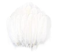 400 PCS Plumes d'Oie Naturelles d'un Blanc Pur, 6-12cm Plumes Décoratives pour Loisirs Créatifs & Bricolage, Idéales pour Attrape-Rêves, Mariage, Décoration de Fête, Chapeaux & Accessoires