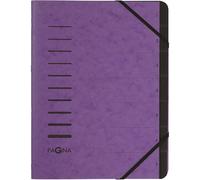 [40058-10] PAGNA Trieur "Sorting File" 7 compartiments Aubergine
