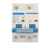 400V 80/100/125A Disjoncteur DZ47-125 2P courant miniature(125A)