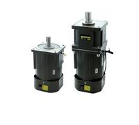 400W Micro AC Motor 220v 50/60hz Asynchronous Motor Induction Motor Shaft 22mm 17mm For Packaging Machine Constant speed motor(155RPM)