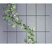 40500 Treillis avec 5 Struts 150 x 75 cm Blanc