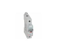 406411 Interrupteur Modulaire Unipolaire 1p 250v - 40a - 1 Module - Bornes à Vis Legrand Dx³-is