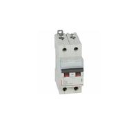 Disjoncteur Legrand Disjoncteur DX³6000 10kA arrivée haute/départ bas vis 2P 25A courbe C - 2 mod