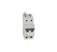 407787 Disjoncteur bipolaire 32A - 2P Courbe C - 6/10kA - À vis - Legrand DX3