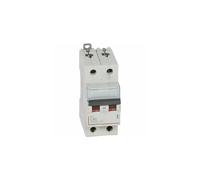 407788 Disjoncteur bipolaire 40A - 2P Courbe C - 6/10kA - À vis - Legrand DX3
