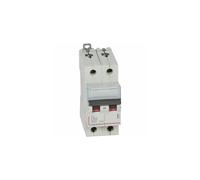 407790 Disjoncteur Bipolaire 63a - 2p Courbe C - 6/10ka - à Vis - Legrand Dx3