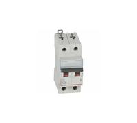 Legrand Disjoncteur bipolaire DX3 32 A 2P Courbe D 6/10 kA à vis