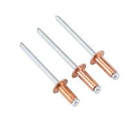 40PCS Rivets Aveugles 3,2mm, Rivets Pop à Noyau Acier Capuchon Cuivre, Rivets à Tête Ronde pour Bricolage, Automobile, Meubles, Construction, Navires, Machines(3.2X16mm)