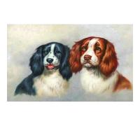 40x30 cm Diamant Peinture à faire soi-même DIY Diamond Painting Spaniel-chien