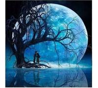 40x30 cm Diamants Peinture à faire soi-même Diamond Painting Lune au-dessus du lac