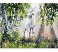 40x30 cm Diamants Peinture à faire soi-même DIY Diamond Painting Cheval dans la forêt