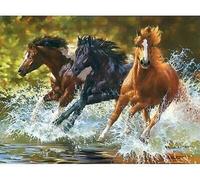 40x30 cm Diamants Peinture à faire soi-même DIY Diamond Painting Chevaux