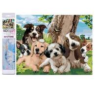 40x30 Diamants Peinture à faire soi-même DIY Diamond Painting Chiens